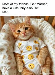 50 Hilarious Cat Memes That Capture ...